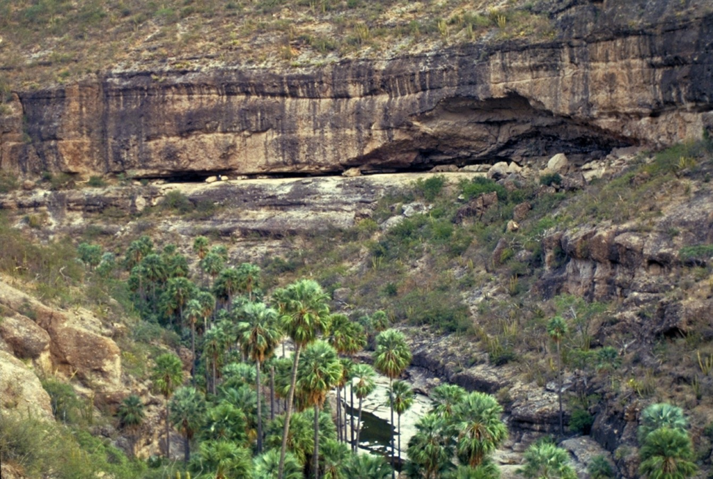 Cueva La Pintada, arte rupestre que nos conecta con la historia de Baja California