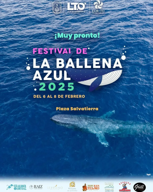 Festival de la Ballena Azul 2025 celebra el regreso del gigante del océano