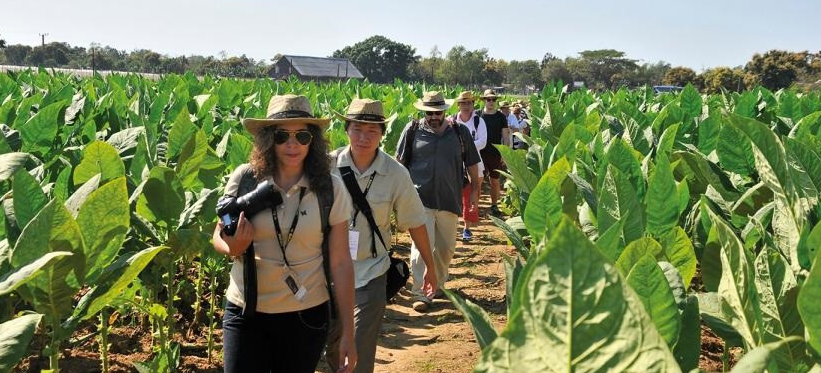 Agroturismo en Baja California: turismo y el auge del dátil